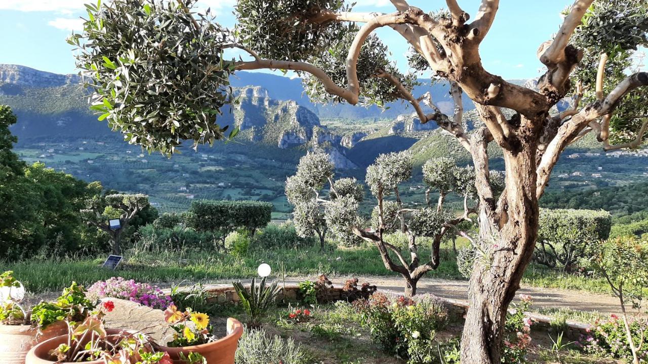 B&B Casa Martina Giungano Eksteriør billede