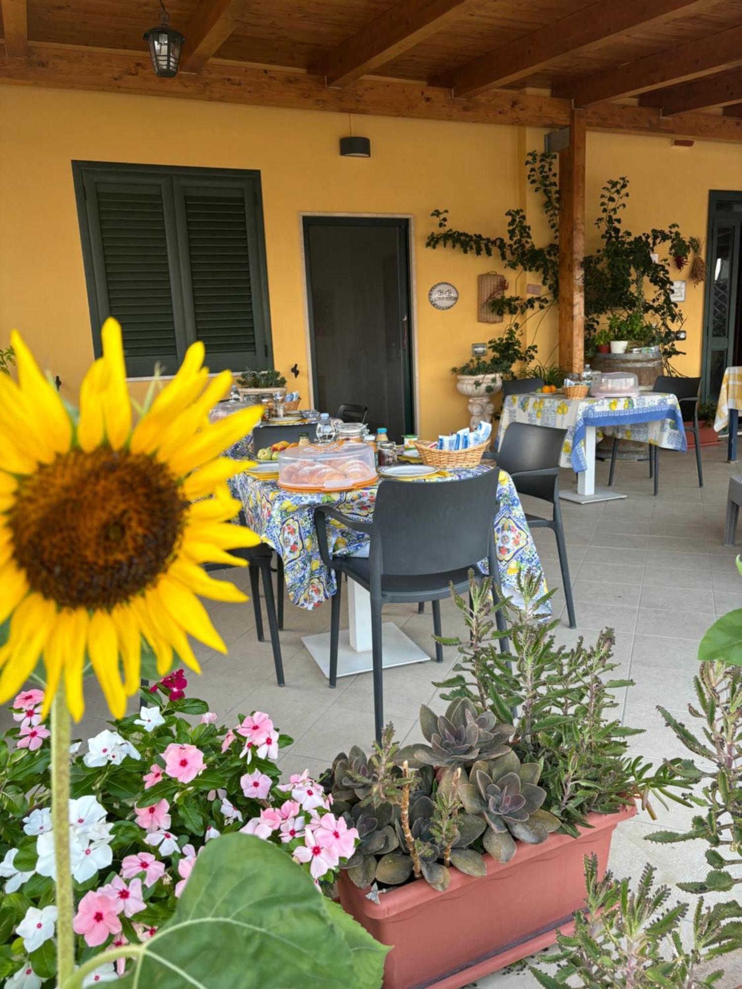 B&B Casa Martina Giungano Eksteriør billede