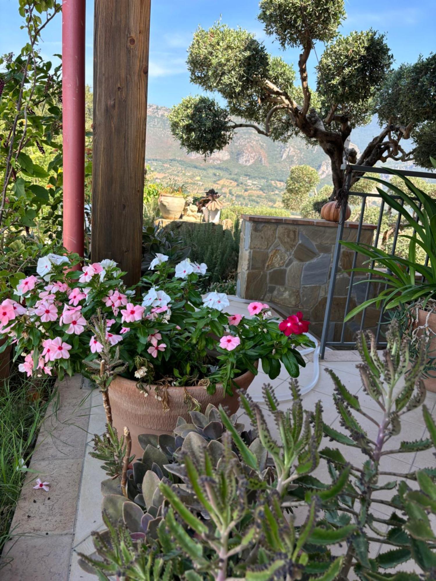 B&B Casa Martina Giungano Eksteriør billede