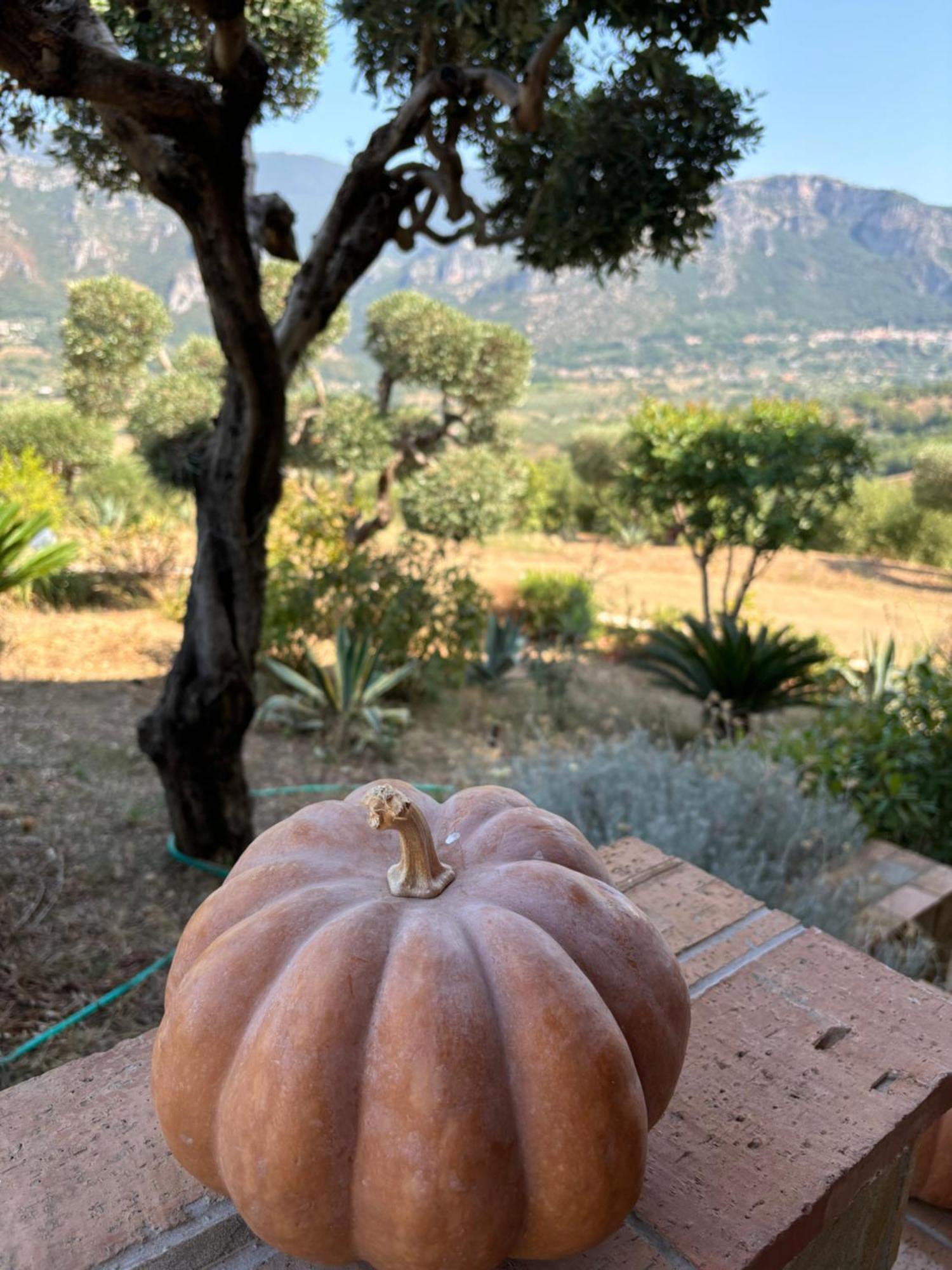 B&B Casa Martina Giungano Eksteriør billede